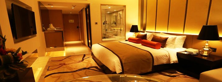 1242/The Pride Plaza Hotel - New Delhi 17.jpg